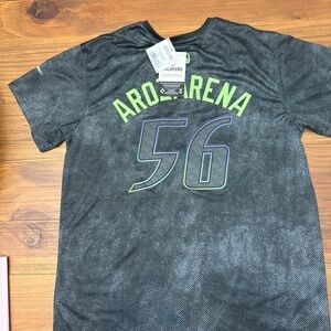 Nike TBR Arozarena baseball jersey